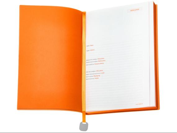 Ежедневник недатированный А5 «Mercury»