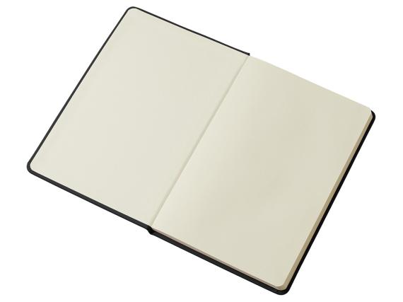 Блокнот в твердой обложке A5 «Виспи» в клетку